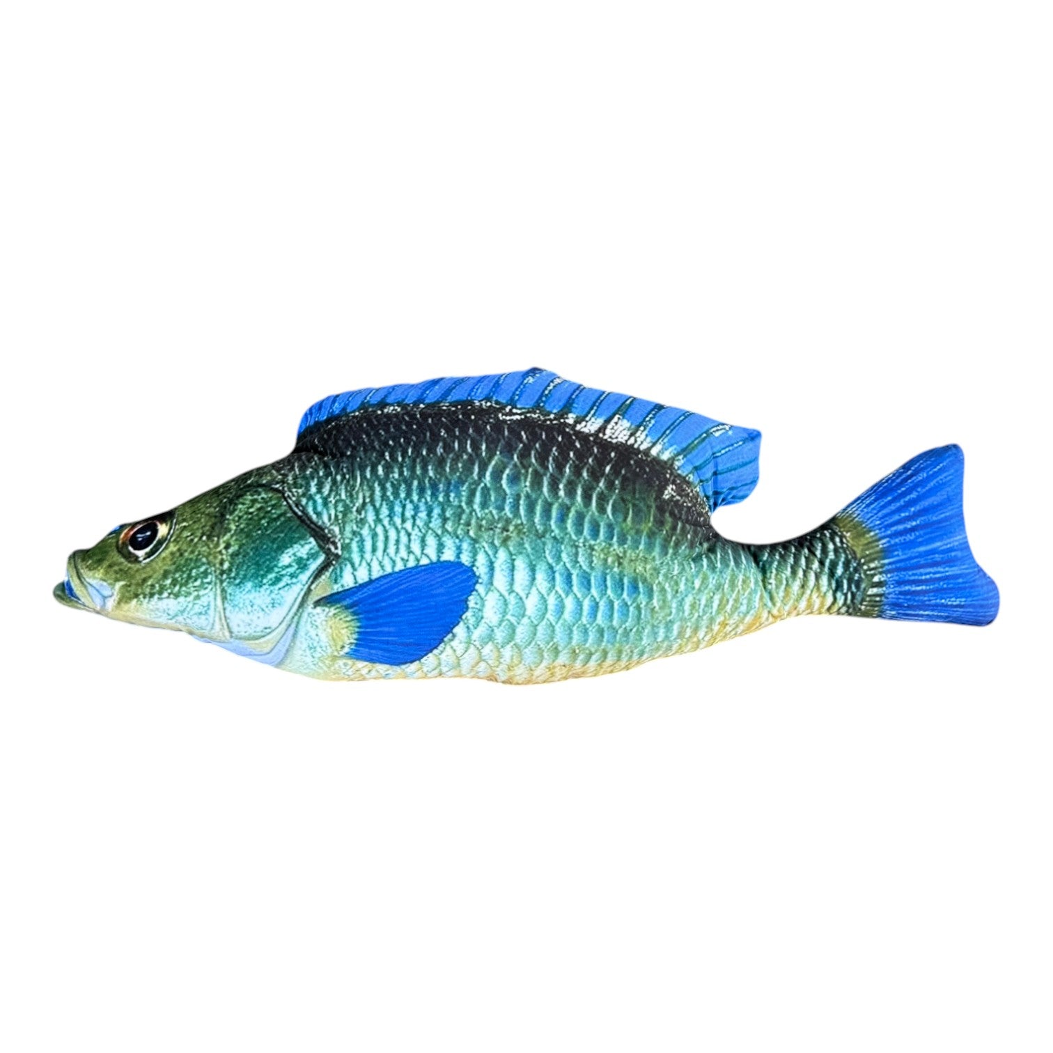 Blue Fish
