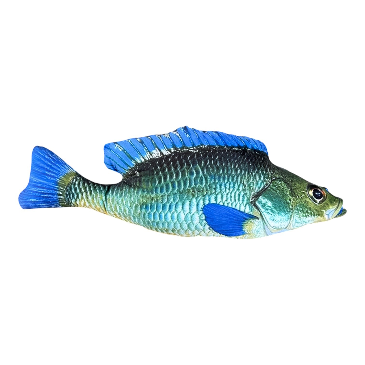 Blue Fish