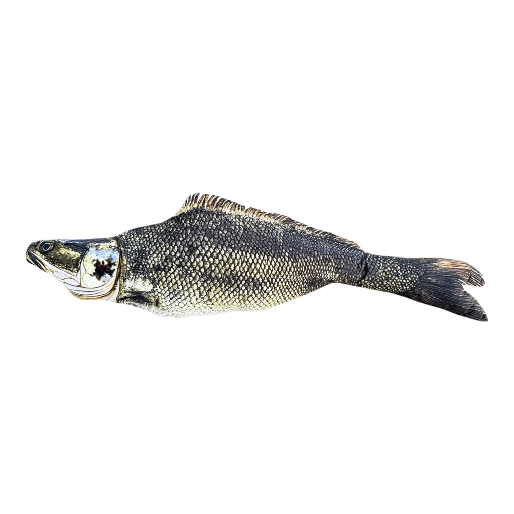 Freshwater Hybrid Fish