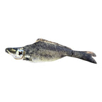 Freshwater Hybrid Fish