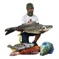 Freshwater Hybrid Fish
