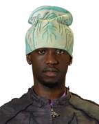 Scaraboid Beanie