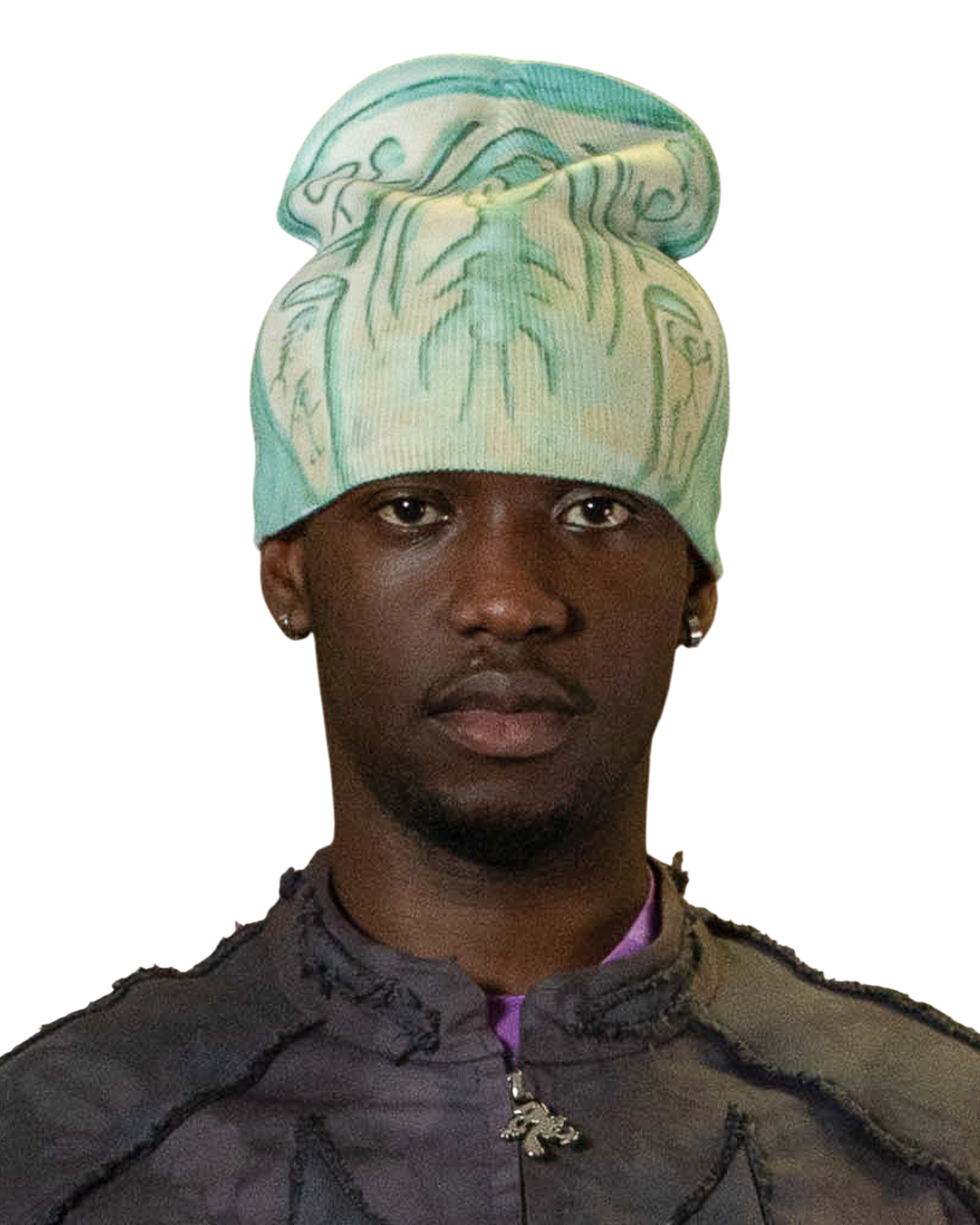 Scaraboid Beanie