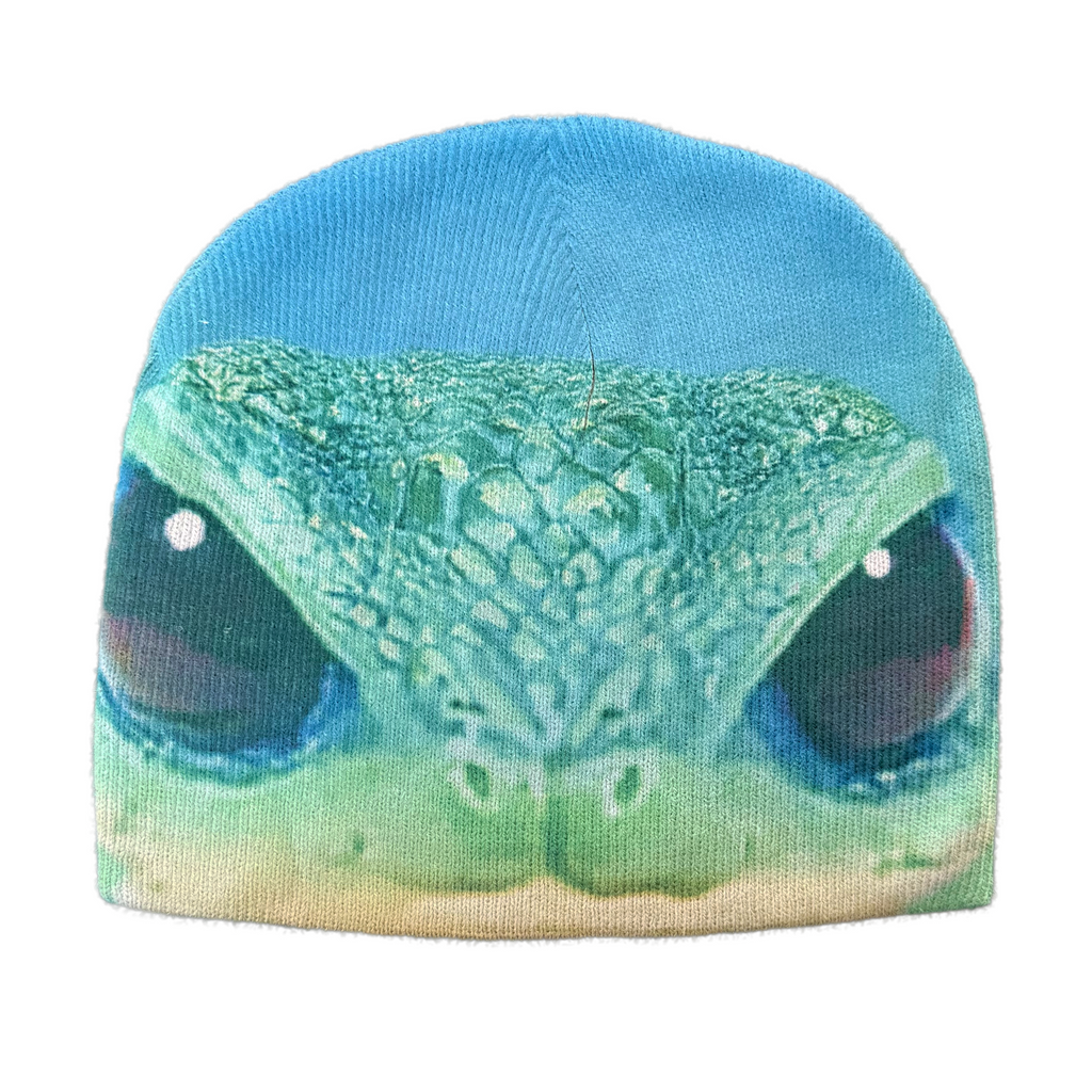 Bug Eyed Creep Beanie - Blue