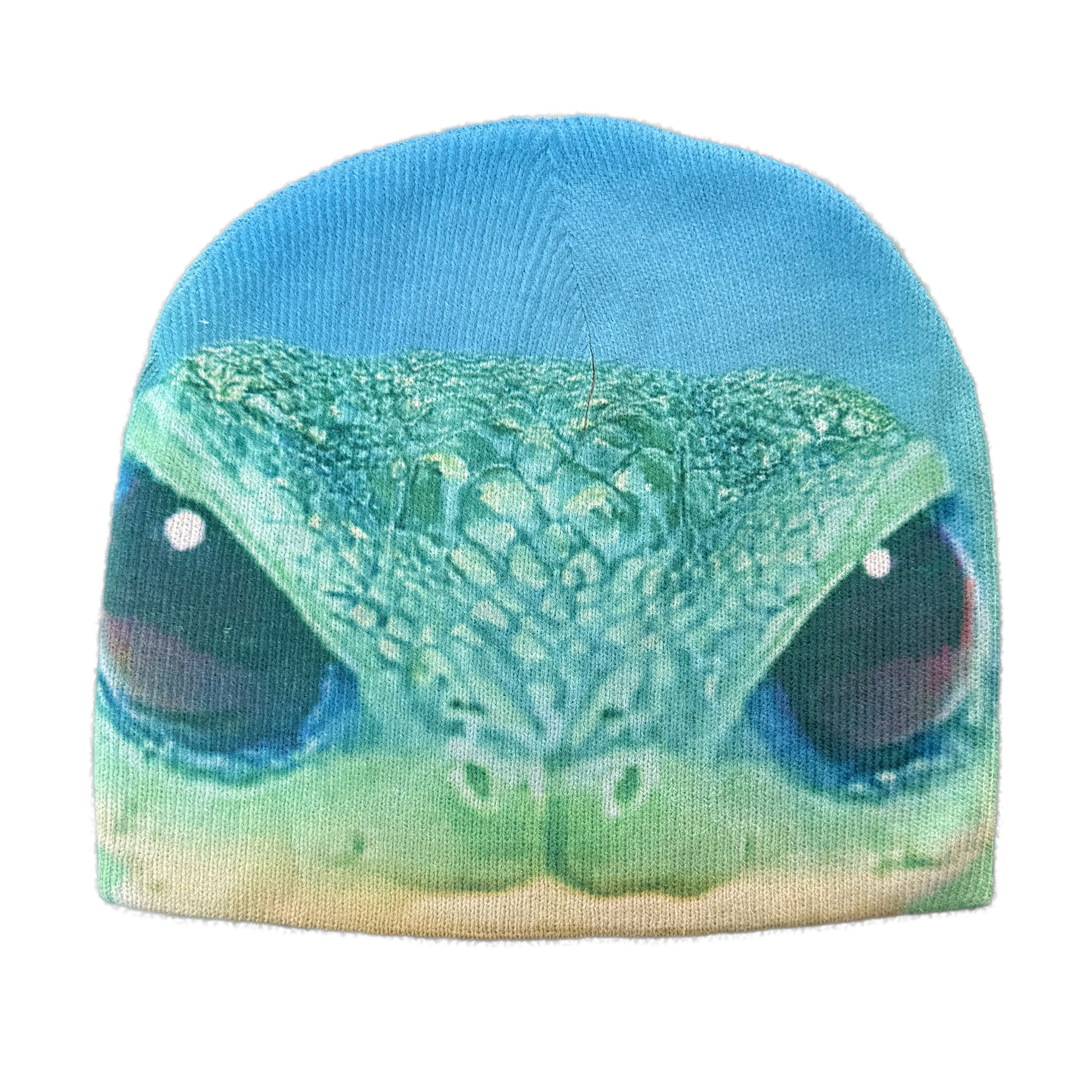 Bug Eyed Creep Beanie - Blue